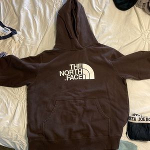 North Face Hoodie-L-Brown